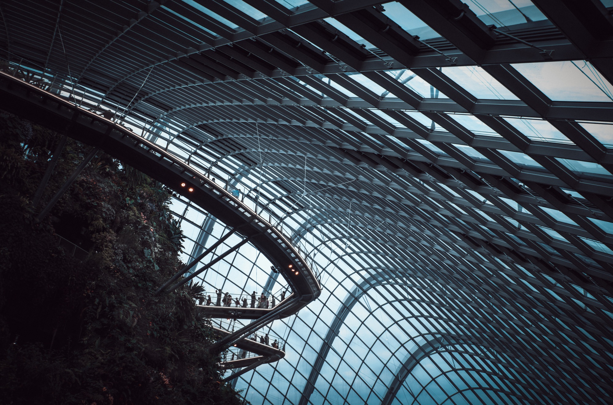In dome Gardens by the Bay with crownded people walking on the bridge in Sigapore